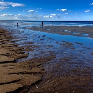 Meet your Posher, Wendy